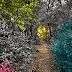 Minnesota Through Memory: Recolored Photographs of the Mississippi Riverlands