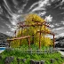 Japan Revisited Through a Playful Color Experiment